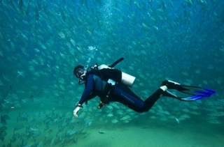 Maravilla del buceo